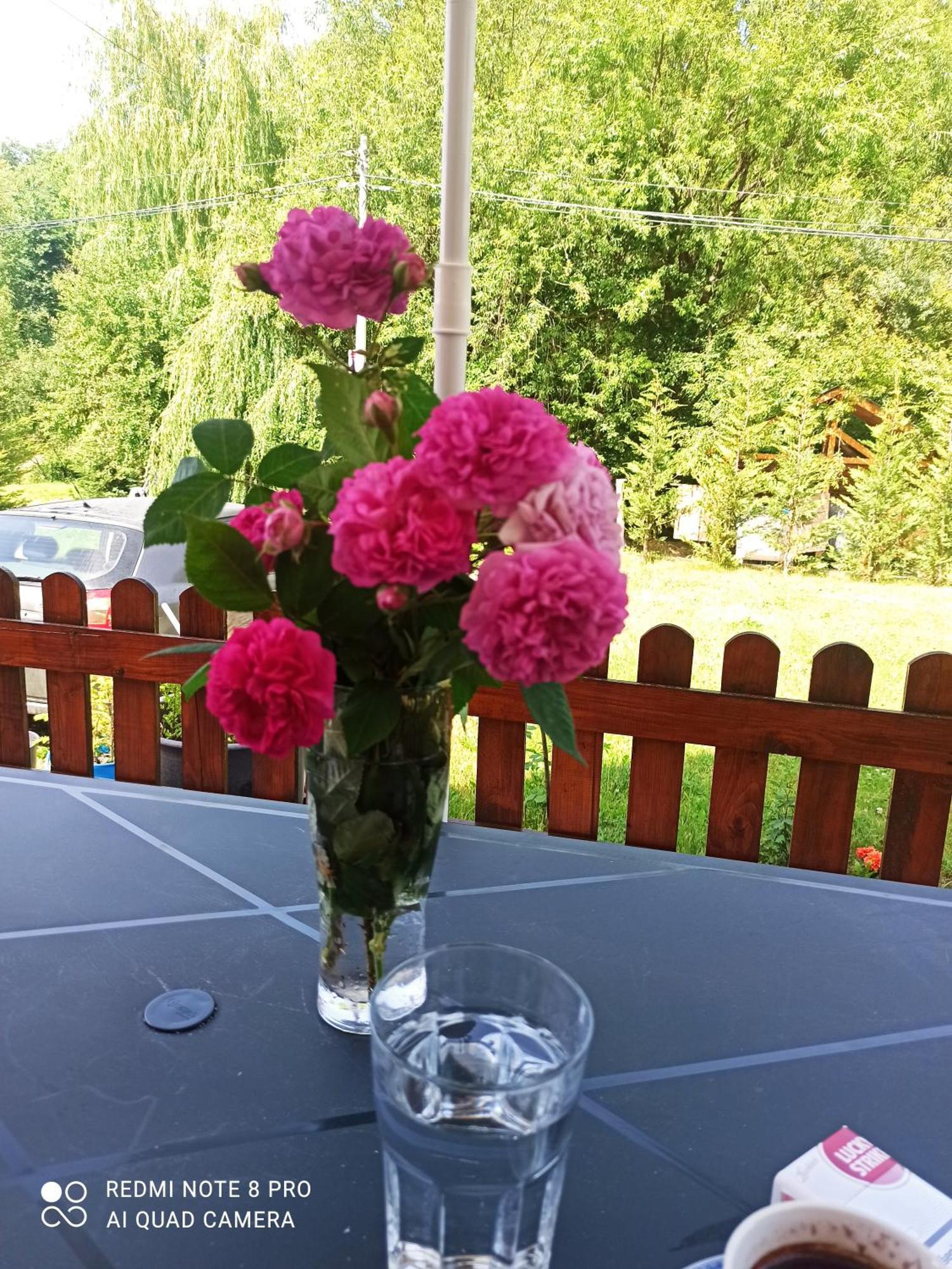 Holiday Home Ivana Kolašin Eksteriør bilde